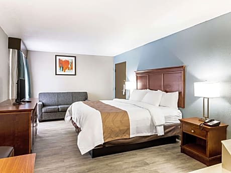 1 King Bed, Suite, Smoking