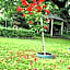 Hahndorf House B&B