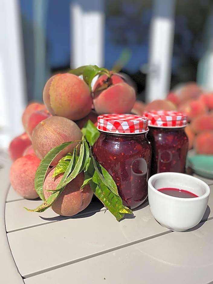 Ah House City B&B Nelson