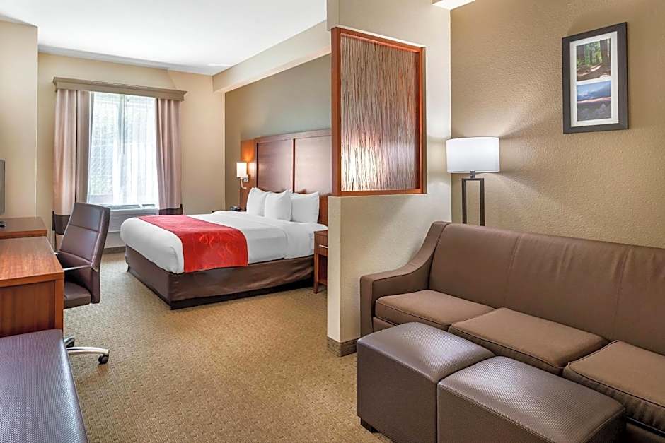Photo 1 of 4 of 1 King Bed Suite, Accessible