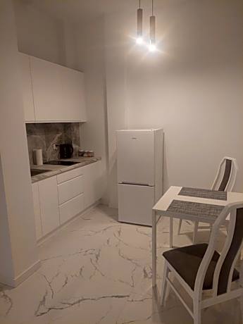 Large Double or Twin Room