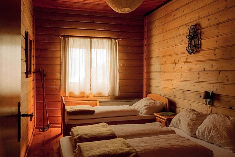 Gjaid-Alm 1739m am Dachstein-Only Accessible by Cable Car