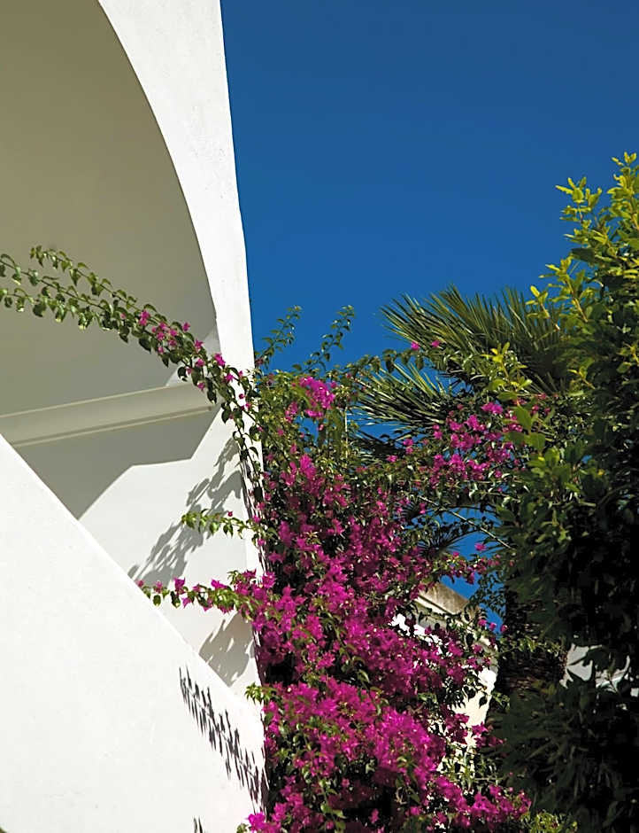 Albergo Gatto Bianco