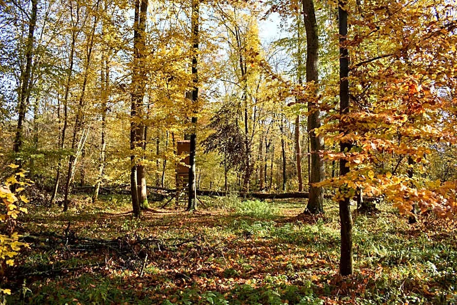 Maison d hotes Coeur de Village Alsace & spa