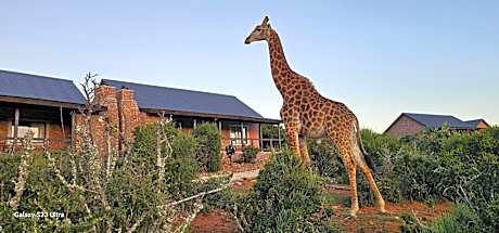 Valley Bushveld Country Lodge