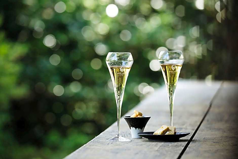 Shisui, a luxury Collection Hotel Nara