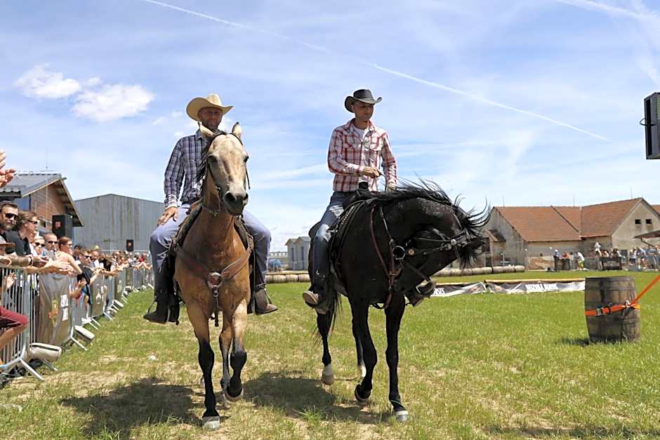 Nestville Apartments