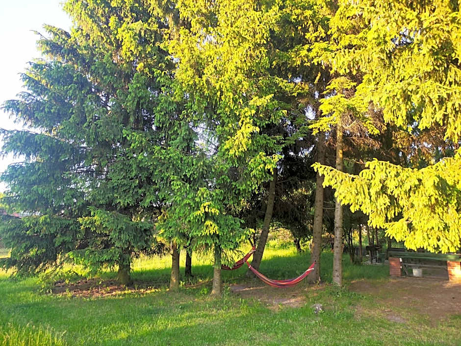 Gościniec Celina