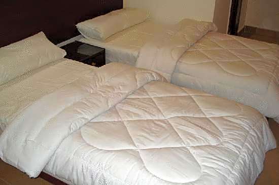 Transit Alexandria Hostel