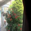 Marigold Otel