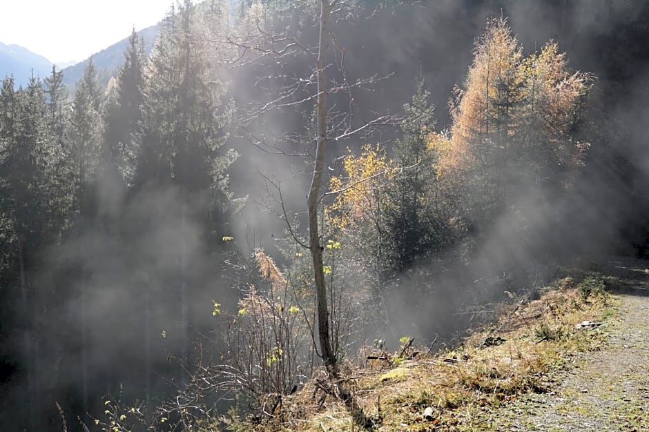 Biobauernhof Spieszschweiger