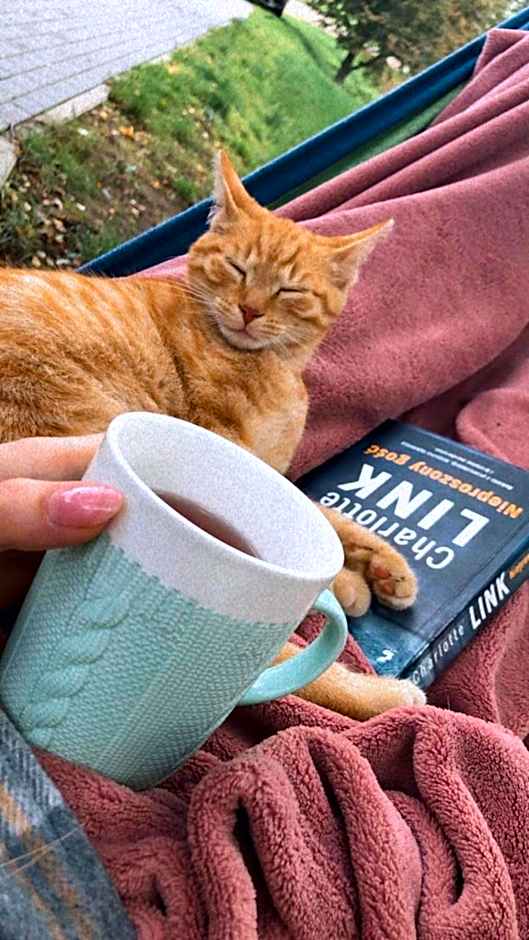 Koziula - Domki i Leśne SPA na Kaszubach