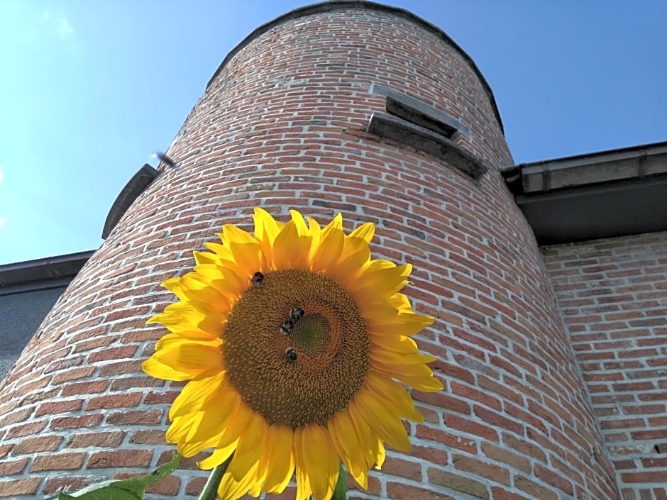 B&B Tlekkerbeddeke