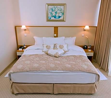 Standard Apartment 1 bedroom