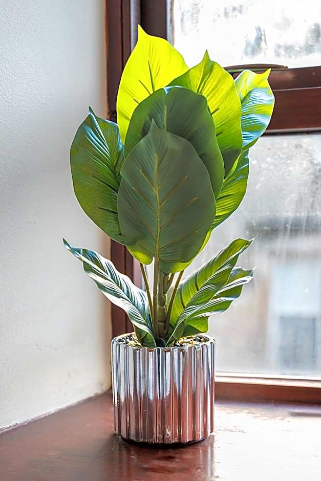 Prime location rooms in high street