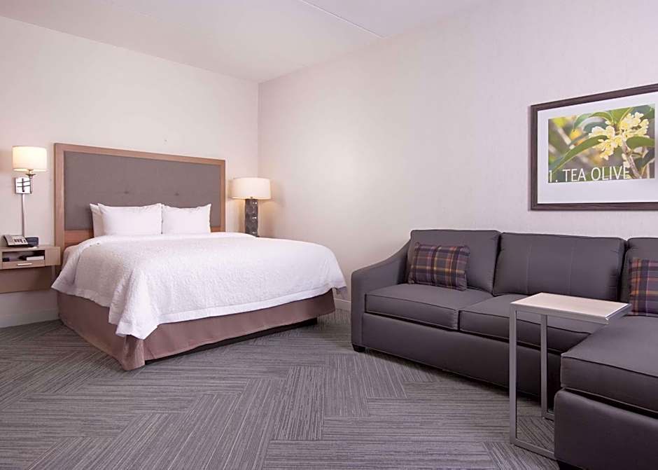 Hampton Inn & Suites by Hilton Augusta-Washington Rd