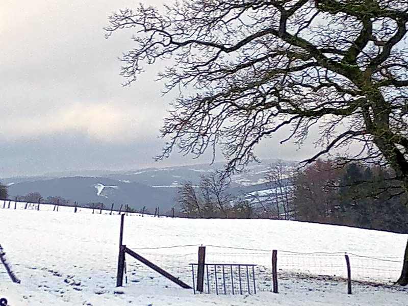 vakantieverblijf Nature