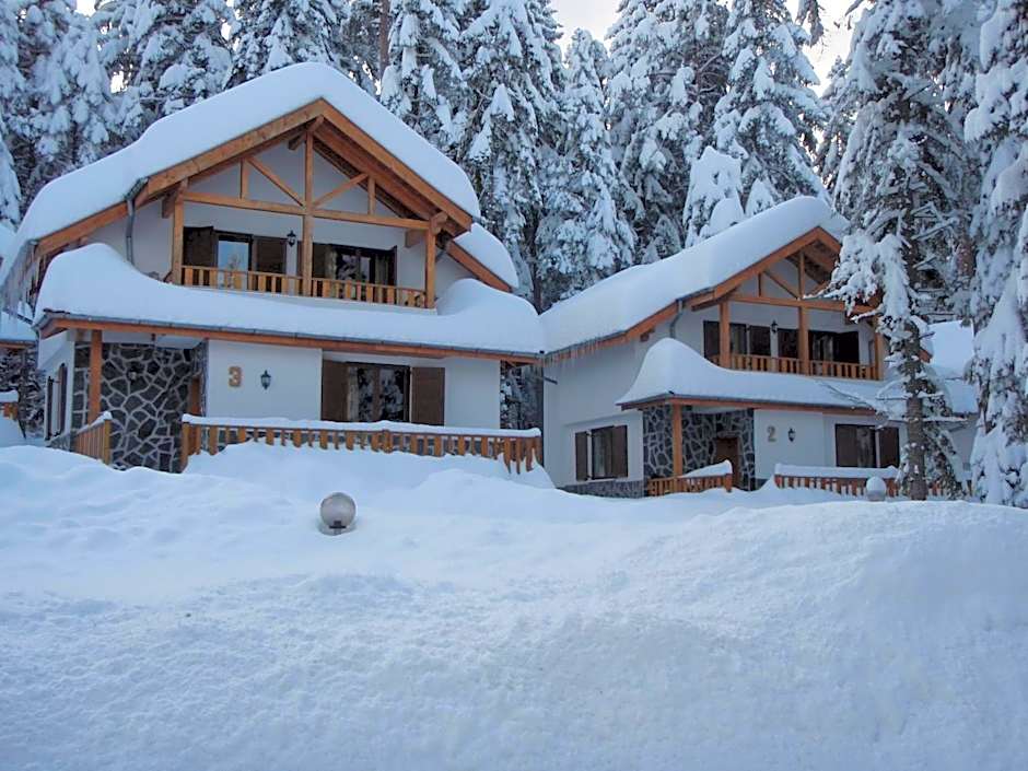 Saint George Holiday Village