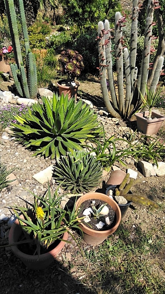 Chambre d'hôtes Le Rougeyras