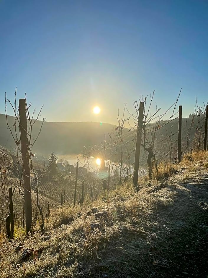 Boutique Guesthouse Das WOHLGEMUTH HEIM Mosel Weingut