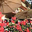 Hotel Zanetti
