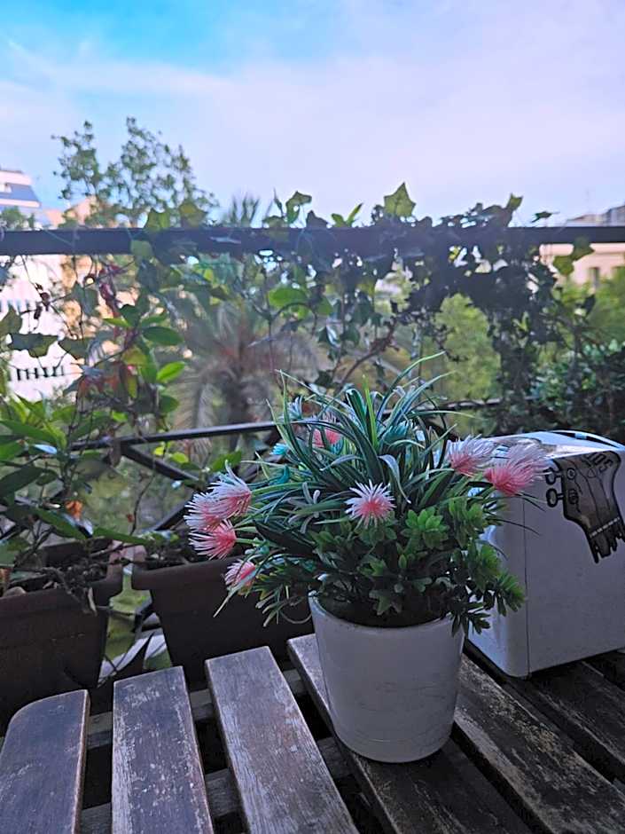 Wow Hostel Barcelona