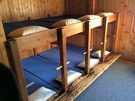 Bunk Bed in Mixed Dormitory Room