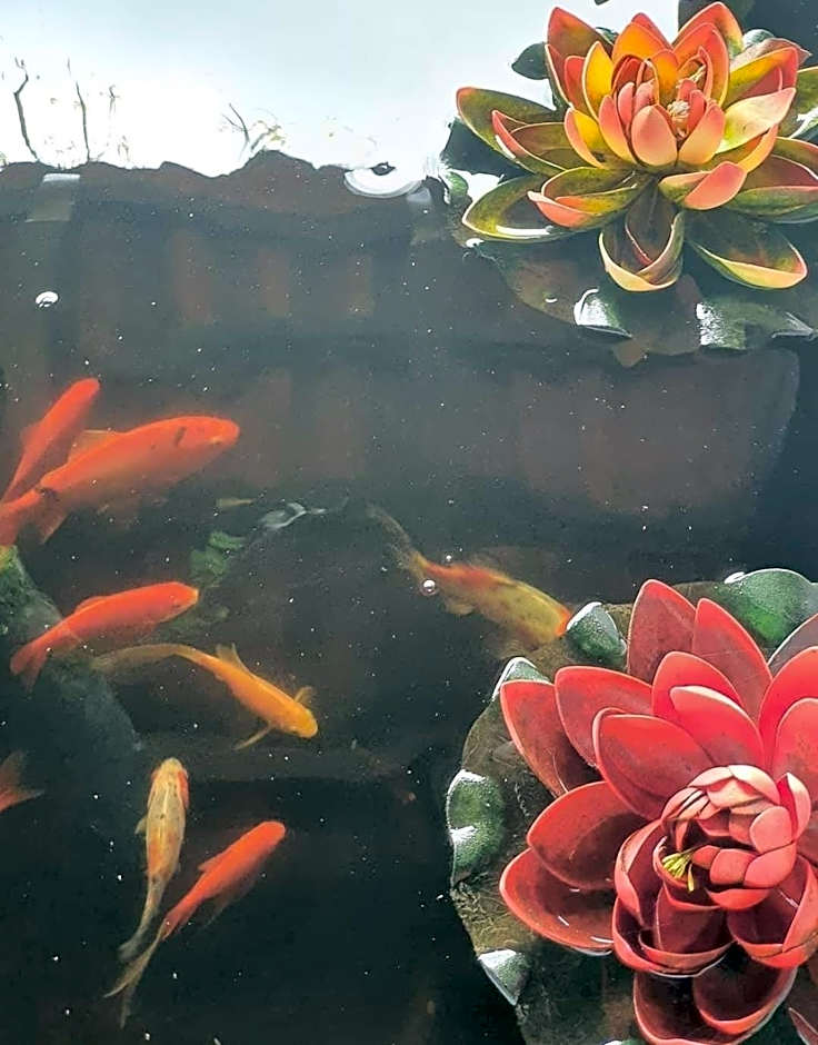 Hotel Rural La Raya 1866