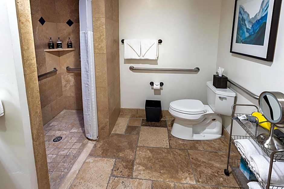 Hyatt Centric Park City