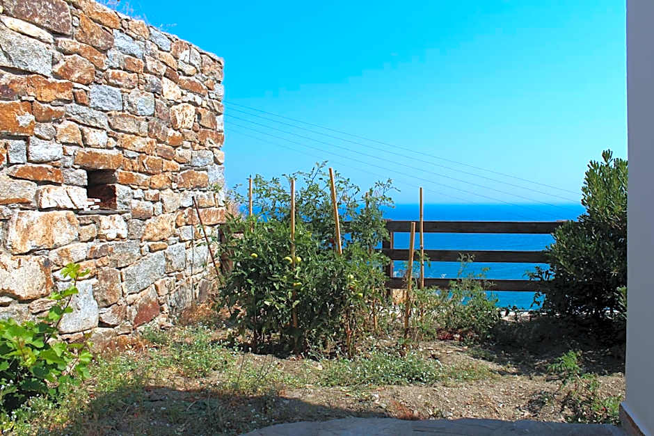 Ikaria Utopia - Cusco Studios