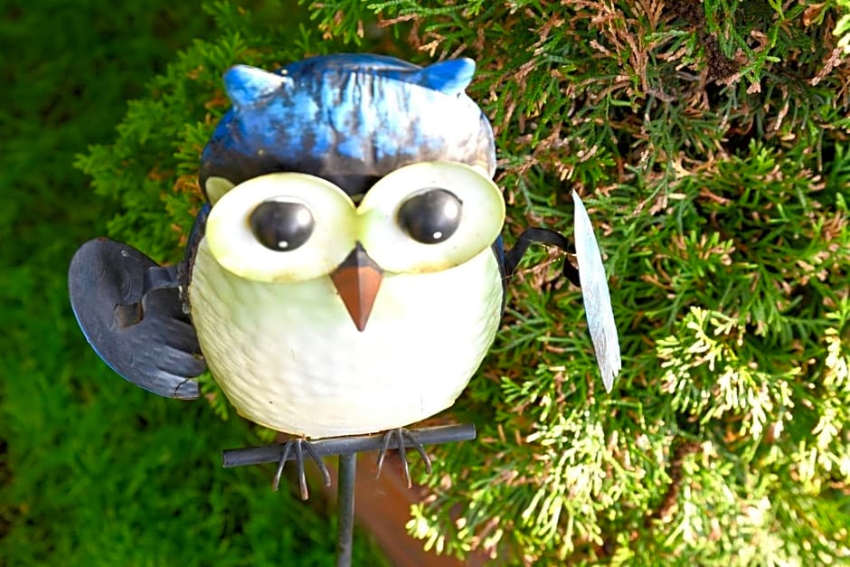 Pokoje go¿cinne Ewela