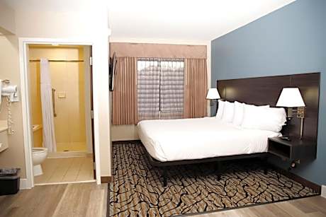 1 King Bed Studio Suite Non-Smoking