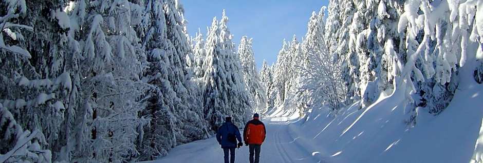 Sackmann Genuss und Spa Resort