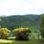 Shorenji Lake Hotel