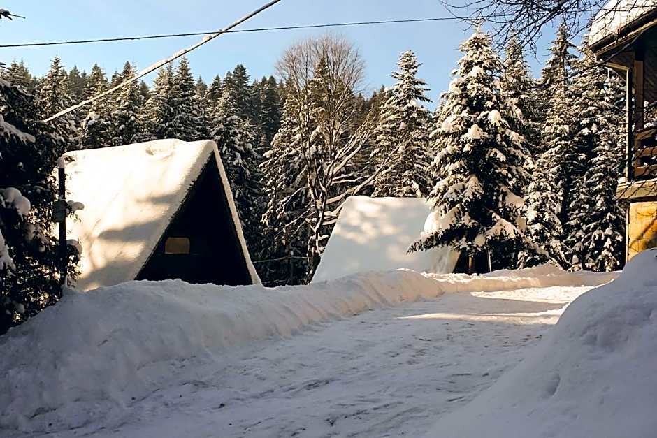 Leśna Willa PTTK w Komańczy