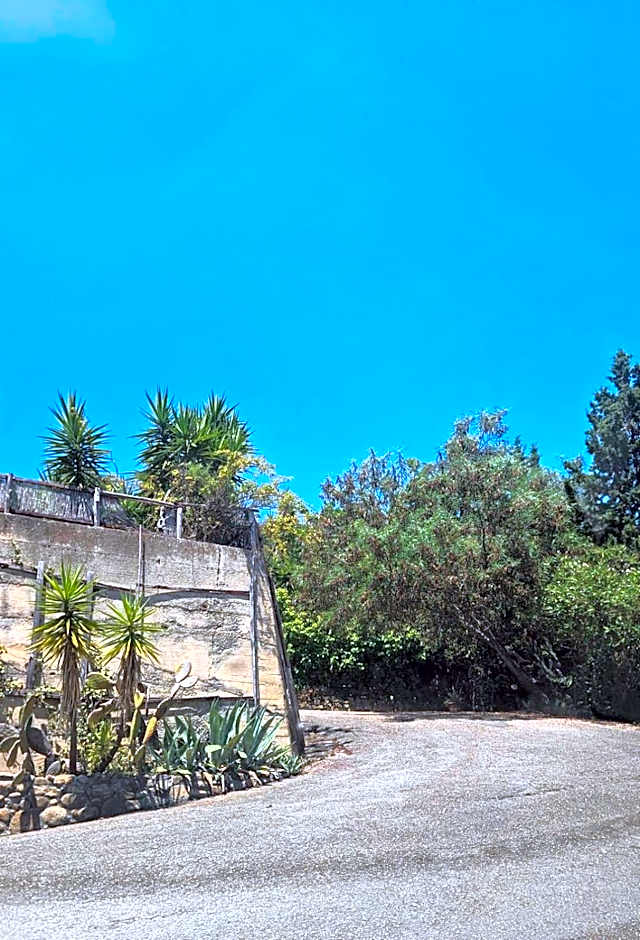 Casa de rosa
