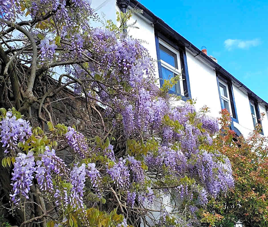 The White House Guest House