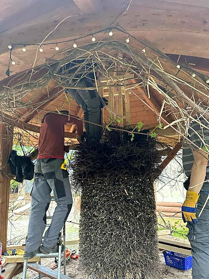 Sommer Residence Hotel&Spa