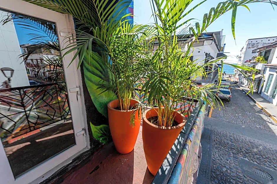 Casa Colibrí Malecón