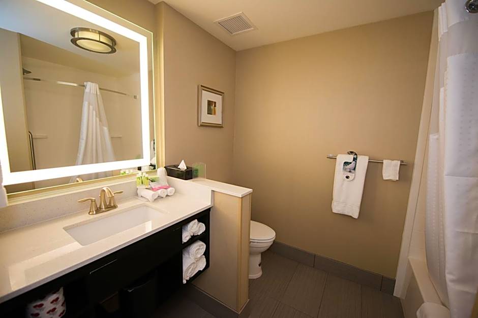 Holiday Inn Express & Suites Denver South - Castle Rock By IHG