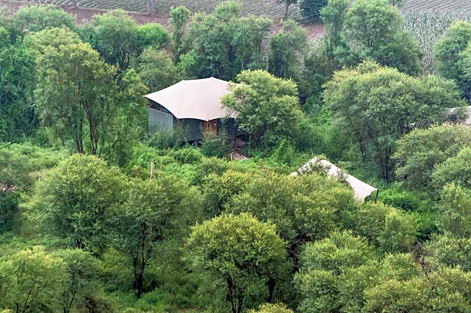 Trees N Tigers Luxury Wildlife Lodge
