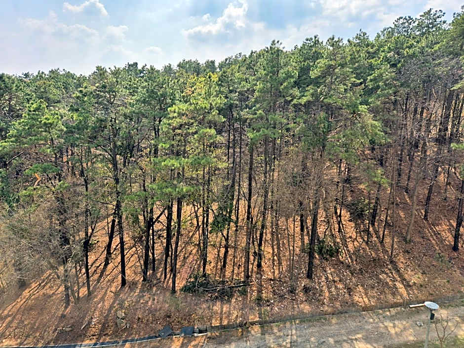 Hotel Thesoom Forest