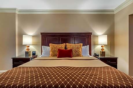 One Bedroom Superior Suite - One King Bed