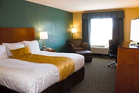 Accessibility - 1 King, Roll-in Shower, Nonsmoking