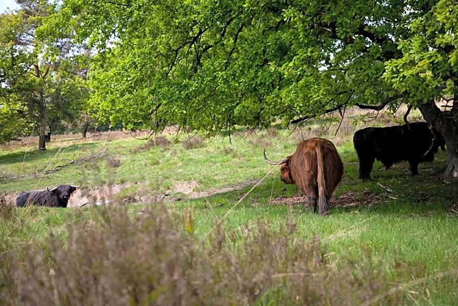 Boshotel - Vlodrop, Roermond