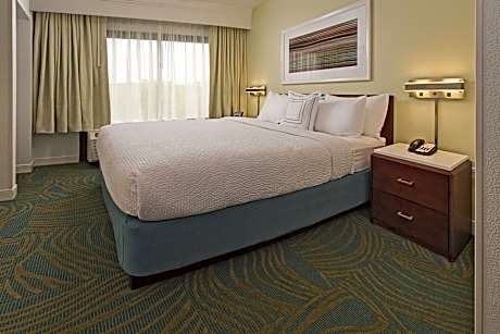 Suite, 1 King Bed with Sofa bed (1 King Bed and 1 Double Sofa Bed)