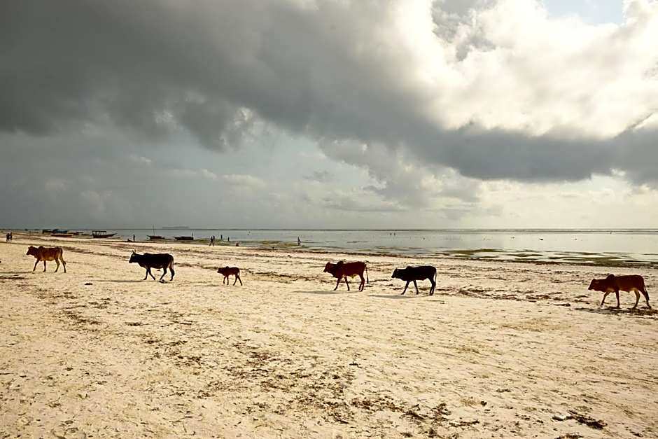 Villa Kiva Boutique Hotel