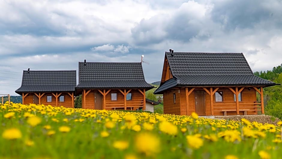 Chatki Niwki u Zbója