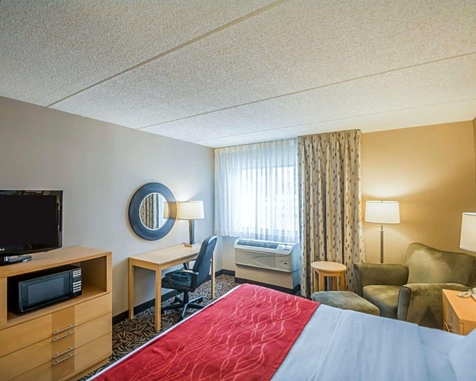 Comfort Inn - NYS Fairgrounds