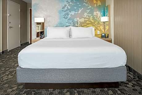 Guest room, 1 King, Sofa bed